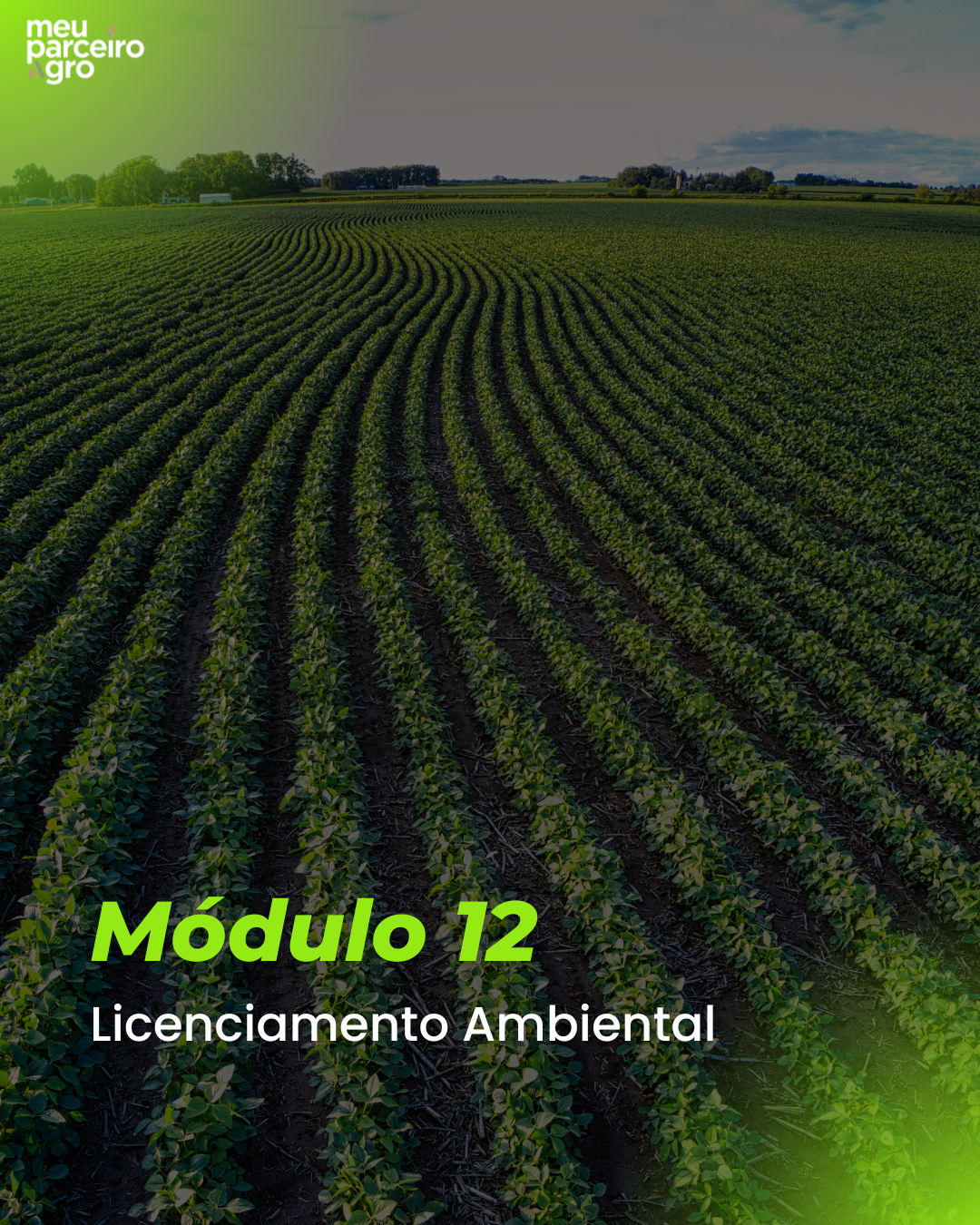 slider 12